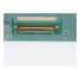 LP156WH2 (TL)(B1) Матрица для ноутбука 15.6" LP156WH2 (TL)(B1), 1366x768 WXGA HD, cветодиодная (LED)